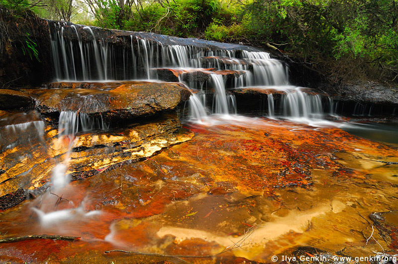 landscapes stock photography | Yosemite Creek, Katoomba, Blue Mountains National Park, NSW, Australia, Image ID AU-NSW-BM-YOSEMITE-CREEK-0002