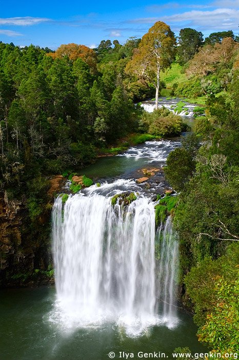 landscapes stock photography | Dangar Falls, Dorrigo, NSW, Australia, Image ID NSW-DANGAR-FALLS-0001