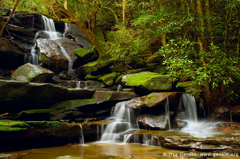 landscapes stock photography | Lower Somersby Falls, Brisbane Water National Park, Central Coast, NSW, Australia, Image ID SOMERSBY-FALLS-NSW-AU-0003