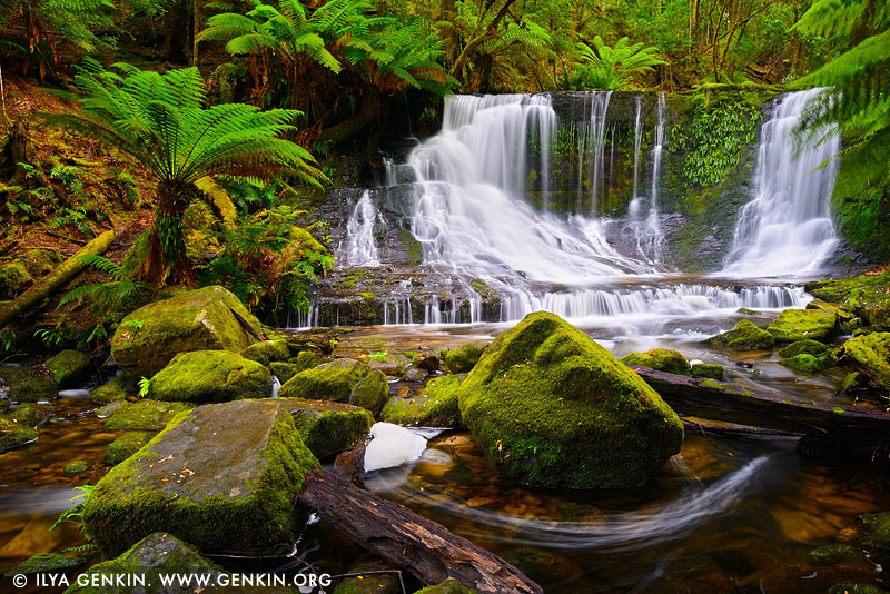 landscapes stock photography | Horseshoe Falls, Mount Field National Park, Tasmania (TAS), Australia, Image ID TAS-HORSESHOE-FALLS-0001