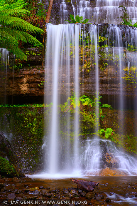 landscapes stock photography | Russell Falls, Mount Field National Park, Tasmania (TAS), Australia, Image ID TAS-RUSSELL-FALLS-0002