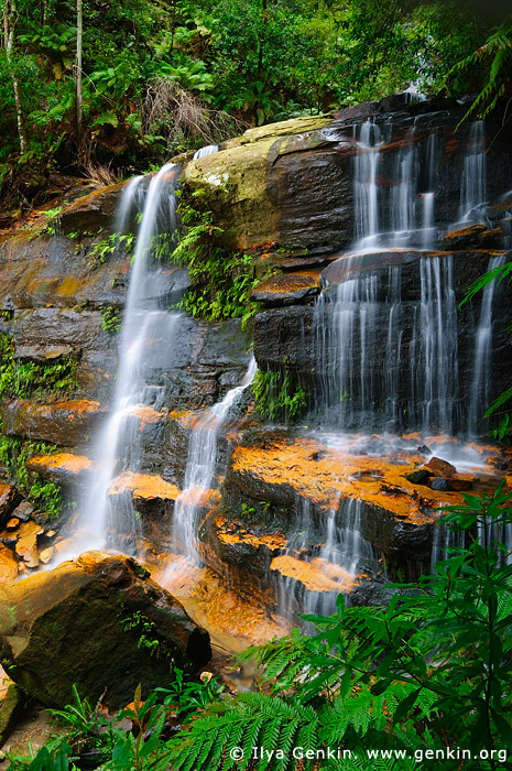 landscapes stock photography | Flat Rock Falls, Valley of the Waters Creek, Blue Mountains National Park, New South Wales (NSW), Australia, Image ID AU-FLAT-ROCK-FALLS-0001