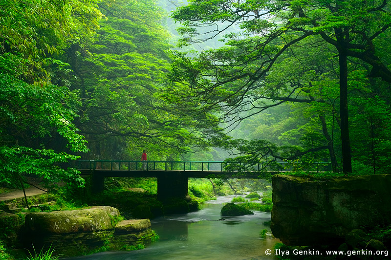 landscapes stock photography | Bridge over the Golden Whip Stream, Wulingyuan National Park, Zhangjiajie National Forest Park, China, Image ID CHINA-ZHANGJIAJIE-WULINGYUAN-0003