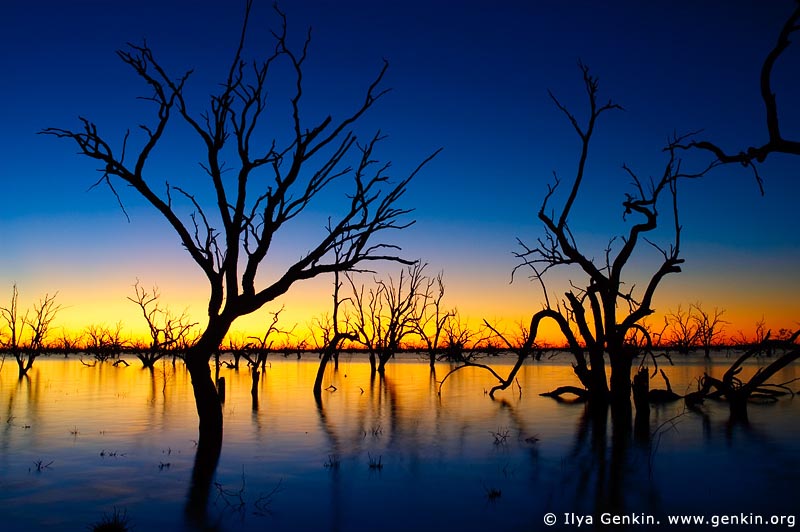 landscapes stock photography | Sunset at The Lake Pamamaroo, Kinchega National Park, NSW, Australia, Image ID AU-LAKE-PAMAMAROO-0003