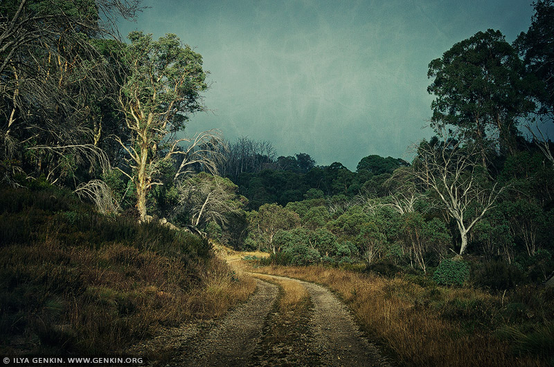 portfolio stock photography | Rural Road, Mount Buffalo, Victoria, Australia, Image ID INSTA-STYLE-0004