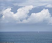 portfolio stock photography | Lonely Yacht on Pacific Ocean, Sydney, NSW, Australia, Image ID AU-PACIFIC-OCEAN-0001. Photo of a single yacht sails on the Pacific Ocean near the coast of Sydney, NSW, Australia.
