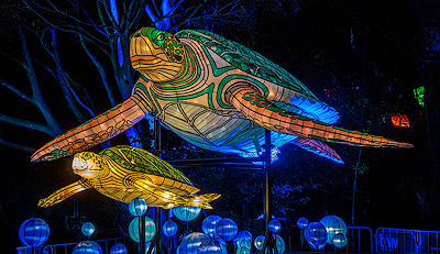 Light Sculptures at Taronga Zoo during Vivid Sydney Festival