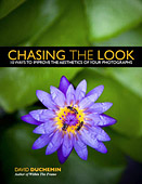 Chasing The Look. 10 Ways to Improve The Aesthetics of Your Photographs by David duChemin