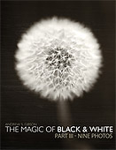 The Magic of Black and White. Part III - Nine Photos by Andrew S. Gibson