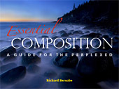 Essential Composition. A Guide for the Perplexed by Richard Bernabe