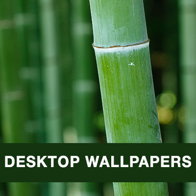 Free Desktop Wallpapers for PC, Mac, iPhone, iPad and Android