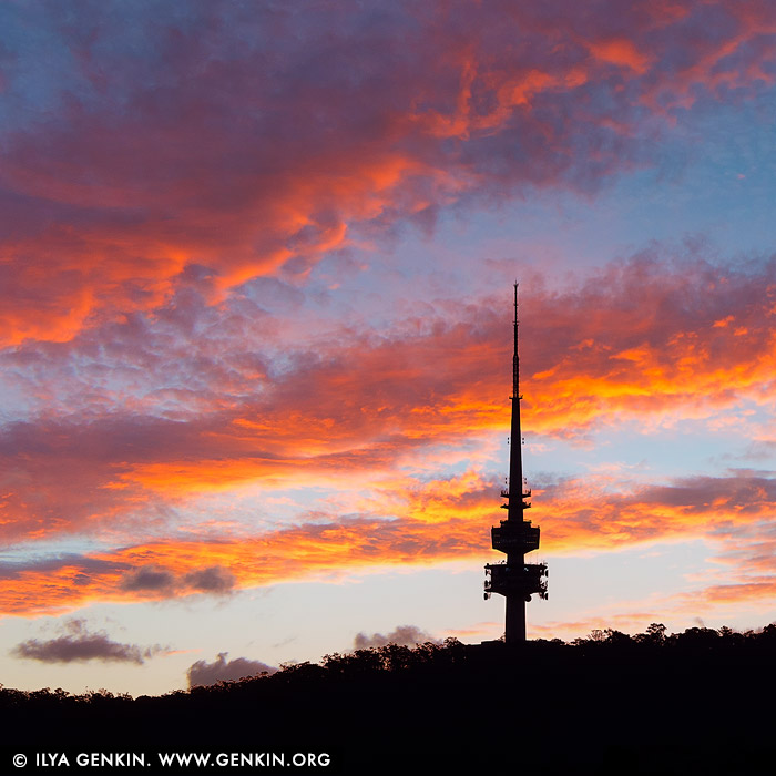 australia stock photography | Sunset over Black Mountain and Telstra Tower, Canberra, ACT, Australia. As the sun dipped below the horizon, Black Mountain and the iconic Telstra Tower were silhouetted against a sky ablaze with fiery reds, oranges, and golds. The vibrant hues painted the clouds, creating a mesmerising backdrop for Canberra's skyline. Black Mountain, known as Galambary to the Ngunnawal people, rises 812 meters above sea level and is a significant natural landmark in Canberra. It forms part of the Canberra Nature Park and is home to diverse native flora and fauna. The mountain holds cultural importance for the Ngunnawal people, serving as a traditional site for ceremonies and gatherings. Perched atop this mountain is the Telstra Tower, a 195-meter-high telecommunications and observation tower completed in 1980. Originally known as Telecom Tower, it has become a prominent feature of Canberra's landscape, offering panoramic views of the city and surrounding regions. The tower is currently undergoing renovations, with plans to reopen in 2026, incorporating elements that celebrate Ngunnawal culture. This vivid sunset over Black Mountain and Telstra Tower captures the harmonious blend of natural beauty and cultural heritage that defines Canberra.