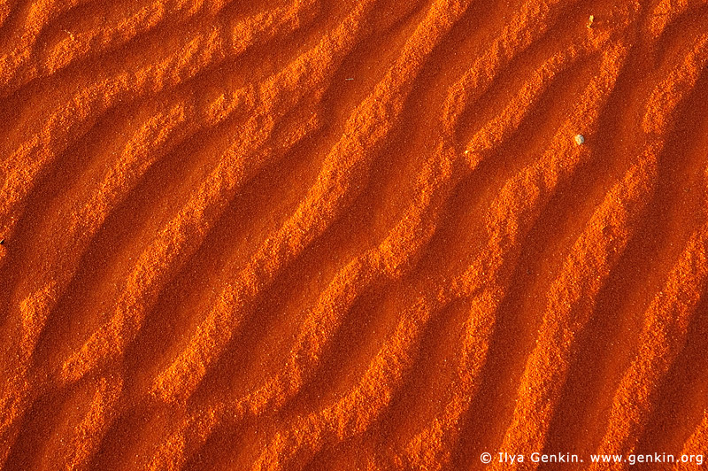 australia stock photography | Ripples on Red Sand, Cameron Corner, NSW/QLD/SA, Australia, Image ID CAMERON-CORNER-NSW-QLD-SA-0004