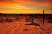 australia stock photography | Dingo Fence near Cameron Corner at Sunrise, Cameron Corner, NSW/QLD/SA, Australia, Image ID CAMERON-CORNER-NSW-QLD-SA-0005. 