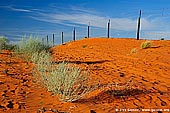 australia stock photography | Dingo Fence near Cameron Corner, Cameron Corner, NSW/QLD/SA, Australia, Image ID CAMERON-CORNER-NSW-QLD-SA-0007. 