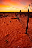 australia stock photography | Dingo Fence near Cameron Corner at Sunrise, Cameron Corner, NSW/QLD/SA, Australia, Image ID CAMERON-CORNER-NSW-QLD-SA-0008. 