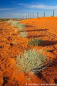 australia stock photography | Dingo Fence near Cameron Corner, Cameron Corner, NSW/QLD/SA, Australia, Image ID CAMERON-CORNER-NSW-QLD-SA-0012. 