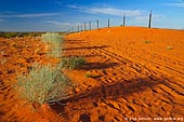 australia stock photography | Dingo Fence near Cameron Corner, Cameron Corner, NSW/QLD/SA, Australia, Image ID CAMERON-CORNER-NSW-QLD-SA-0016. 