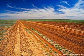 australia stock photography | Road in Corner Country, Corner Country, NSW, Australia, Image ID CAMERON-CORNER-NSW-QLD-SA-0018. 