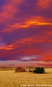 australia stock photography | Abandoned Farmhouse at Sunset, Burra, South Australia (SA), Australia, Image ID AU-BURRA-0006. 