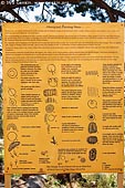 australia stock photography | Interpretive Sign at Yourambulla Caves, Hawker, Flinders Ranges, South Australia (SA), Australia, Image ID AU-YOURAMBULLA-CAVES-0006. 