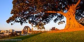 australia stock photography | Sunset at Observatory Hill, Sydney, New South Wales (NSW), Australia, Image ID AU-SYDNEY-0021. Observatory Hill in Sydney, NSW, Australia is a perfect picnic spot not far from the Sydney CBD, which overlooks a good part of the Harbour and the west of Sydney skyline. It is the highest point in the city studded with huge Moreton Bay fig trees and the grassy hilltop buzzes. The hill was the site of the colony's first windmill (1796), which ground wheat until someone stole its canvas sails and the structure collapsed.