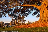 australia stock photography | Sunset at Observatory Hill, Sydney, New South Wales (NSW), Australia, Image ID AU-SYDNEY-0033. Sydney's Observatory Hill is a popular spot with locals, workers and visitors, Observatory Hill Park offers sweeping, panoramic views of Sydney Harbour and the Harbour Bridge for free. It is nestled in the city centre. You can reach the park by steps from Kent Street (Agar Steps), Cumberland Street through a cutting in the Harbour Bridge and a pedestrian bridge from the city centre via the Bradfield Highway. A cycling path is also available from the Harbour Bridge. Sydney Observatory is also located on Observatory Hill. Built in 1858, Australia's first observatory is open to the public throughout the year.