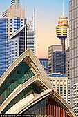 Pastel Morning Harmony in Sydney - Fine art print of Sydney, New South Wales (NSW), Australia - As dawn breaks over Sydney, a soft pastel sky bathes the city in ethereal light, casting a serene glow across the architectural icons of Australia. The sculptural sails of the Sydney Opera House rise gracefully in the foreground, their organic curves contrasting beautifully against the sleek vertical lines of the city's modern skyline. Behind them, the golden hues of Sydney Tower and surrounding skyscrapers shimmer with quiet elegance, creating a composition that blends cultural legacy with urban vitality. This artwork captures a rare stillness in the heart of a bustling metropolis - a moment of calm and clarity. Perfect for bringing a sense of modern sophistication and tranquil energy into any living space or creative studio. - Image ID: AU-SYDNEY-0037