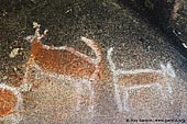 australia stock photography | Aboriginal Rock Art Paintings at Bunjil's Shelter, Stawell, Victoria (VIC), Australia, Image ID BUNJIL-SHELTER-0003. Close-up stock image of the two Bunjil's dingoes at the Bunjil's Aboriginal Rock Art Shelter in the Grampians National Park (Gariwerd) near Stawell, Victoria (VIC), Australia