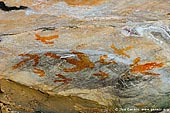 australia stock photography | Aboriginal Rock Art Paintings at Gulgurn Manja Shelter, Grampians National Park, Victoria (VIC), Australia, Image ID GULGURN-MANJA-SHELTER-0006. Close-up stock image of the paintings at Gulgurn Manja - Aboriginal Rock Art Site in the Grampians National Park (Gariwerd), Victoria (VIC), Australia.