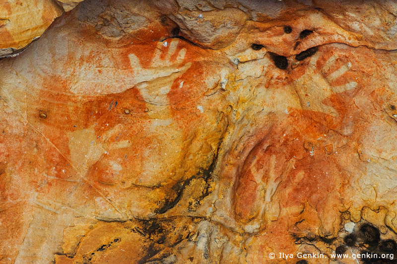 australia stock photography | Aboriginal Rock Art Paintings at Ngamadjidj Shelter, Grampians National Park, Victoria (VIC), Australia, Image ID NGAMADJIDI-SHELTER-0003