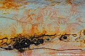 australia stock photography | Aboriginal Rock Art Paintings at Ngamadjidj Shelter, Grampians National Park, Victoria (VIC), Australia, Image ID NGAMADJIDI-SHELTER-0006. Close-up stock image of the paintings at Ngamadjidj - Aboriginal Rock Art Site in the Grampians National Park (Gariwerd), Victoria (VIC), Australia.