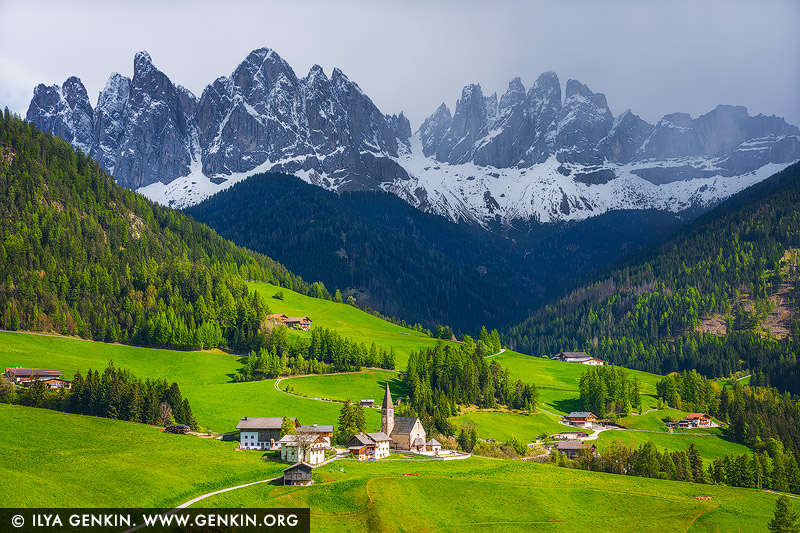 italy stock photography | Storm Approaching Santa Maddalena, Santa Maddalena, Dolomites, Bolzano - South Tyrol, Italy. In this late spring scene, the village of Santa Maddalena nestles peacefully in the heart of the Dolomites, bathed in the soft, diffused light of a late afternoon. The rolling fields below glow in lush, almost surreal shades of green - alive with new growth and warmth - while the towering peaks above remain streaked with snow, reminders of a winter not long gone. Looming on the horison, heavy storm clouds begin to drift in, casting long shadows across the valley and adding a dramatic tension to the landscape. The iconic church of Santa Maddalena, with its slender steeple and quiet presence, anchors the scene - a symbol of calm and resilience as nature prepares to shift once again.