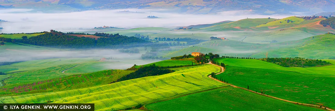 Whispers of Dawn in Val d'Orcia - Fine art print of Pienza, Val d'Orcia, Tuscany, Italy - As the first light caresses the rolling hills of Val d'Orcia near Pienza, a dreamlike hush settles over the landscape. Mist weaves through the valleys like ancient secrets, while golden fields awaken under the soft glow of dawn. A winding cypress-lined road leads to a solitary farmhouse perched in serenity, anchoring the scene in rustic elegance. The rhythmic curves of the terrain, painted in vibrant greens and delicate pastels, evoke a sense of timeless peace - an eternal Tuscan morning captured in perfect harmony. This panoramic artwork invites stillness and reflection, ideal for elevating a living space, studio, or retreat with warmth and gentle grandeur. - Image ID: ITALY-TUSCANY-0015