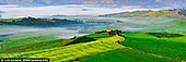 Whispers of Dawn in Val d'Orcia - Fine art print of Pienza, Val d'Orcia, Tuscany, Italy - As the first light caresses the rolling hills of Val d'Orcia near Pienza, a dreamlike hush settles over the landscape. Mist weaves through the valleys like ancient secrets, while golden fields awaken under the soft glow of dawn. A winding cypress-lined road leads to a solitary farmhouse perched in serenity, anchoring the scene in rustic elegance. The rhythmic curves of the terrain, painted in vibrant greens and delicate pastels, evoke a sense of timeless peace - an eternal Tuscan morning captured in perfect harmony. This panoramic artwork invites stillness and reflection, ideal for elevating a living space, studio, or retreat with warmth and gentle grandeur. - Image ID: ITALY-TUSCANY-0015