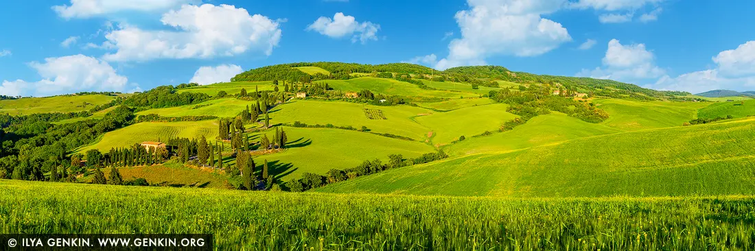Sunlit Symphony: Cipressi di Monticchiello in Afternoon Light - Fine art print of Monticchiello, Val d'Orcia, Tuscany, Italy - In the golden hush of late afternoon, the rolling hills of Monticchiello unfold like a living painting - vibrant green fields, winding country roads, and the iconic cypress-lined drive that curves gracefully through the Tuscan landscape. Dotted with rustic villas and framed by lush woodlands, this panoramic view captures the heart of Val d'Orcia's timeless charm. The clarity of the sky and richness of color radiate warmth, joy, and harmony - a visual escape into nature's rhythm. This piece brings brightness and depth to any room, perfect for uplifting a living area, dining space, or creative studio with Tuscan soul. - Image ID: ITALY-TUSCANY-0019