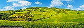 Sunlit Symphony: Cipressi di Monticchiello in Afternoon Light - Fine art print of Monticchiello, Val d'Orcia, Tuscany, Italy - In the golden hush of late afternoon, the rolling hills of Monticchiello unfold like a living painting - vibrant green fields, winding country roads, and the iconic cypress-lined drive that curves gracefully through the Tuscan landscape. Dotted with rustic villas and framed by lush woodlands, this panoramic view captures the heart of Val d'Orcia's timeless charm. The clarity of the sky and richness of color radiate warmth, joy, and harmony - a visual escape into nature's rhythm. This piece brings brightness and depth to any room, perfect for uplifting a living area, dining space, or creative studio with Tuscan soul. - Image ID: ITALY-TUSCANY-0019