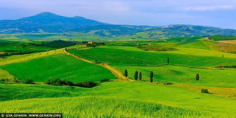italy stock photography | Tuscany's Eternal Dream. The Gladiator Road Unfolds, Pienza, Val d'Orcia, Tuscany, Italy. Sweeping across the undulating hills of Val d'Orcia, this breathtaking panorama captures the iconic 'Gladiator Road' in all its cinematic grandeur. The serpentine path, lined with sentinel cypress trees, leads the eye toward a golden farmhouse nestled in the distance - a scene so timeless and serene, it feels lifted from a dream. Beneath a soft sky and against the majestic backdrop of Monte Amiata, the landscape radiates lush greens and rich light, embodying the soul of the Tuscan countryside. This photograph invites stillness and wanderlust - a perfect centrepiece for interiors that celebrate beauty, heritage, and quiet inspiration.