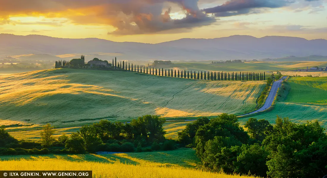 Golden Light over Poggio Covili - Fine art print of Castiglione d'Orcia, Val d'Orcia, Tuscany, Italy - As the sun dips below the Tuscan hills, Poggio Covili is bathed in a radiant, golden light that spills across the rolling fields like liquid amber. The iconic cypress-lined driveway draws the eye gently toward the silhouetted farmhouse, perched with quiet elegance atop the hill. In the distance, soft lavender mountains cradle the scene, while golden wheat-fields ripple in the breeze, catching the last warm light of day. This photograph captures not just a view, but a feeling - of stillness, beauty, and timeless serenity. Ideal for interiors seeking warmth, tranquility, and the romance of the Italian countryside. - Image ID: ITALY-TUSCANY-0022