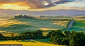Golden Light over Poggio Covili - Fine art print of Castiglione d'Orcia, Val d'Orcia, Tuscany, Italy - As the sun dips below the Tuscan hills, Poggio Covili is bathed in a radiant, golden light that spills across the rolling fields like liquid amber. The iconic cypress-lined driveway draws the eye gently toward the silhouetted farmhouse, perched with quiet elegance atop the hill. In the distance, soft lavender mountains cradle the scene, while golden wheat-fields ripple in the breeze, catching the last warm light of day. This photograph captures not just a view, but a feeling - of stillness, beauty, and timeless serenity. Ideal for interiors seeking warmth, tranquility, and the romance of the Italian countryside. - Image ID: ITALY-TUSCANY-0022