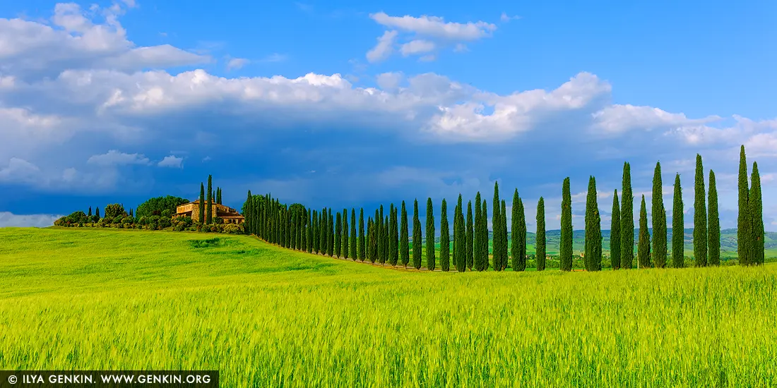 Path of Cypress and Light. Poggio Covili - Fine art print of Castiglione d'Orcia, Val d'Orcia, Tuscany, Italy - A perfect procession of cypress trees leads to the warm ochre tones of Poggio Covili, gracefully perched on a gentle hill in Val d'Orcia. Set beneath a dramatic sky of shifting clouds and sunlight, the Tuscan farmhouse stands like a quiet sentinel, embracing the timeless rhythm of the countryside. The lush spring fields ripple with green life, echoing the serenity and elegance of this iconic Italian landscape. A harmony of geometry and nature, this image evokes calm and sophistication - ideal as a fine art piece to bring a touch of European refinement and grounded beauty into any living or working space. - Image ID: ITALY-TUSCANY-0023