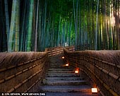  stock photography | Evening at Bamboo Grove, , Adashino Nenbutsuji Temple, Arashiyama, Kyoto, Kansai, Honshu, Japan, Image ID JAPAN-ARASHIYAMA-BAMBOO-GROVE-0005. Adashino Nenbutsuji is located at the end of the Saga-Toriimoto Preserved Street. The temple was founded in the early 9th century when the famous monk Kobo Daishi placed stone statues for the souls of the dead here. Today, the temple grounds are covered by hundreds of such stone statues. Adashino Nenbutsu-ji temple includes another, small bamboo forest not many tourists know about. This isn't the main bamboo path that Arashiyama is famous for but its just as pretty as the main one.