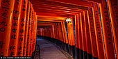  stock photography | Early Morning at Red Torii Gates of Fushimi Inari Shrine, Kyoto, Kansai, Honshu, Japan, Image ID JAPAN-FUSHIMI-INARI-0001. Fushimi Inari Shrine (Fushimi Inari Taisha) is an important Shinto shrine in southern Kyoto. It is famous for its thousands of vermilion torii gates, which straddle a network of trails behind its main buildings. The trails lead into the wooded forest of the sacred Mount Inari, which stands at 233 meters and belongs to the shrine grounds. Fushimi Inari was dedicated to the gods of rice and sake by the Hata family in the 8th century. As the role of agriculture diminished, deities were enrolled to ensure prosperity in business. Nowadays, the shrine is one of Japan's most popular, and is the head shrine for some 40,000 Inari shrines scattered the length and breadth of the country. With seemingly endless arcades of vermilion torii (shrine gates) spread across a thickly wooded mountain, this vast shrine complex is a world unto its own. It is, quite simply, one of the most impressive and memorable sights in Kyoto.