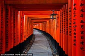  stock photography | Ten Thousands of Red Torii Gates at Fushimi Inari Shrine, Kyoto, Kansai, Honshu, Japan, Image ID JAPAN-FUSHIMI-INARI-0002. Fushimi Inari Taisha Shrine in Kyoto is famous for the countless vermilion red Torii gates. The Torii gates are donations from companies, individuals or families and lead up to the main shrine at the top of the hill. Fushimi Inari Shrine is one of Kyoto's landmarks and has been featured in countless movies as backdrop. The most well known movie is Memoirs of a Geisha. A torii is a traditional Japanese gate commonly found at the entry to a Shinto shrine. The basic structure of a torii is two columns that are topped with a horizontal rail. Slightly below the top rail is a second horizontal rail. A Torii Gate is literally a 'place where birds rest'. Torii are traditionally made from wood and are usually painted vermilion red.
