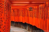  stock photography | Ten Thousands of Red Torii Gates at Fushimi Inari Shrine, Kyoto, Kansai, Honshu, Japan, Image ID JP-FUSHIMI-INARI-0002. Fushimi Inari Taisha Shrine in Kyoto is famous for the countless vermilion red Torii gates. The Torii gates are donations from companies, individuals or families and lead up to the main shrine at the top of the hill. Fushimi Inari Shrine is one of Kyoto's landmarks and has been featured in countless movies as backdrop. The most well known movie is Memoirs of a Geisha. A torii is a traditional Japanese gate commonly found at the entry to a Shinto shrine. The basic structure of a torii is two columns that are topped with a horizontal rail. Slightly below the top rail is a second horizontal rail. A Torii Gate is literally a 'place where birds rest'. Torii are traditionally made from wood and are usually painted vermilion red.