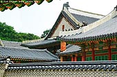 korea stock photography | Roofs at Changdeokgung Palace in Seoul, South Korea, Jongno-gu, Seoul, South Korea, Image ID KR-SEOUL-CHANGDEOKGUNG-0008. 