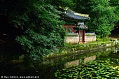 korea stock photography | Buyeongji Pond at Changdeokgung Palace in Seoul, South Korea, Jongno-gu, Seoul, South Korea, Image ID KR-SEOUL-CHANGDEOKGUNG-0017. 