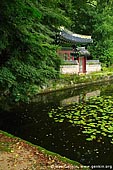 korea stock photography | Buyeongji Pond at Changdeokgung Palace in Seoul, South Korea, Jongno-gu, Seoul, South Korea, Image ID KR-SEOUL-CHANGDEOKGUNG-0018. 