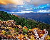 landscapes stock photography | Barrington Tops National Park at Sunset, View from Thunderbolt Lookout, NSW, Australia, Image ID AU-NSW-BARRINGTON-TOPS-0001. Thunderbolts lookout is in the Polblue and Devils Hole precinct of Barrington Tops National Park. It offers magnificent views of the World Heritage Barrington wilderness. It's a perfect introduction to the unique delights of the plateau country, on a car touring day trip or camping holiday.