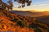 landscapes stock photography | Golden Sunrise in Barrington Tops, Gologolies Lookout, Barrington Tops, NSW, Australia, Image ID AU-NSW-BARRINGTON-TOPS-0003. Mountains and hills of the Barrington Tops National Park in NSW, Australia lit with golden evening light.